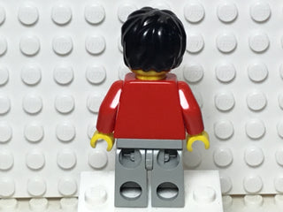 Harry Potter, hp025 Minifigure LEGO®