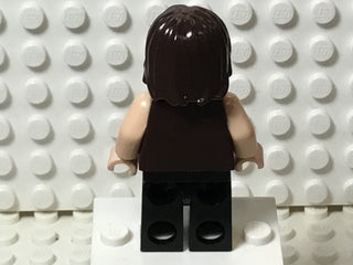 Dastan, pop017 Minifigure LEGO®