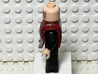 Prince Zuko, ava006 Minifigure LEGO®