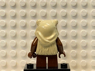Paploo, sw0067 Minifigure LEGO®   