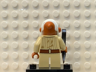 Quarrie, sw0843 Minifigure LEGO®
