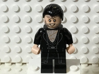 Fenrir Greyback, hp209 Minifigure LEGO®