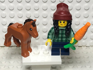 Horse and Groom, col22-5 Minifigure LEGO® Complete with stand and accessories  