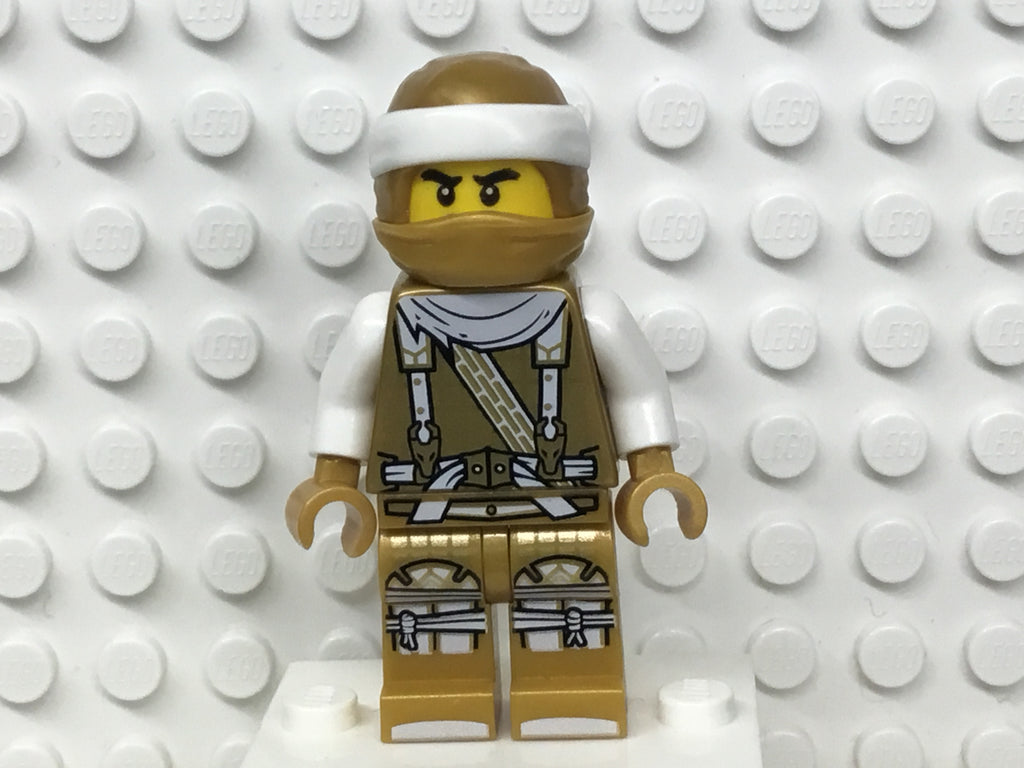 Golden Dragon Master (Sensei Wu) (Dragon Masters) Hunted