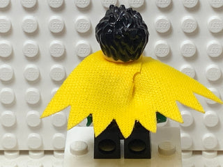 Robin, sh651 Minifigure LEGO®   