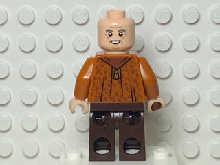 Horace Slughorn, hp230 Minifigure LEGO®   