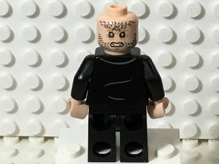 Fenrir Greyback, hp209 Minifigure LEGO®