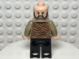 Sirius Black, hp371 Minifigure LEGO®