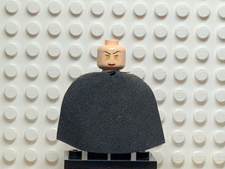Madame Hooch, hp106 Minifigure LEGO®