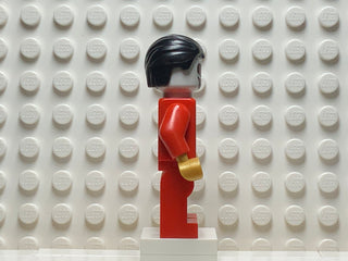 Falcon, sh099 Minifigure LEGO®   