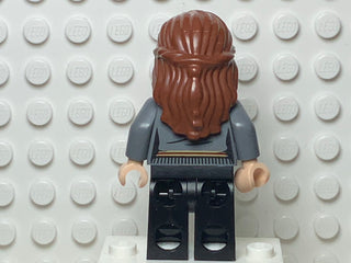 Hermione Granger, hp240 Minifigure LEGO®