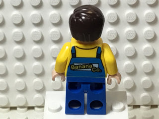 Truck Driver, sh0149 Minifigure LEGO®