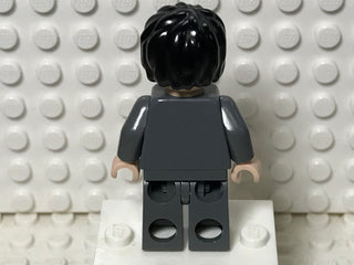 Harry Potter, hp086 Minifigure LEGO®