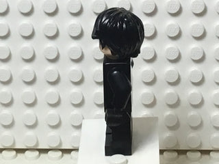 Nightwing, sh0659 Minifigure LEGO®