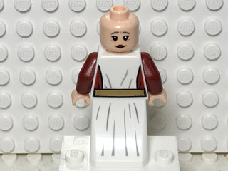 Madame Poppy Pomfrey, hp325 Minifigure LEGO®