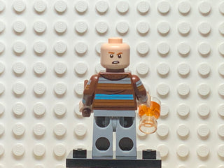 Ron Weasley, colhp2-4 Minifigure LEGO®