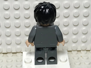 Harry Potter, hp056 Minifigure LEGO®