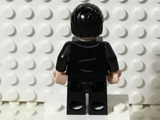 Fenrir Greyback, hp209 Minifigure LEGO®