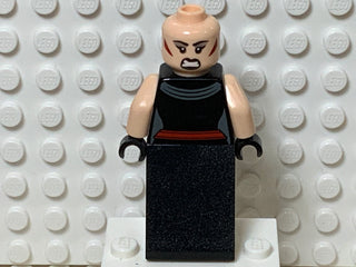 Magpie sh0333 Minifigure LEGO®