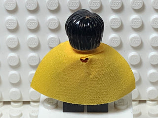 Robin, sh0091 Minifigure LEGO®