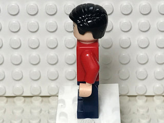 Dick Grayson, sh0236 Minifigure LEGO®