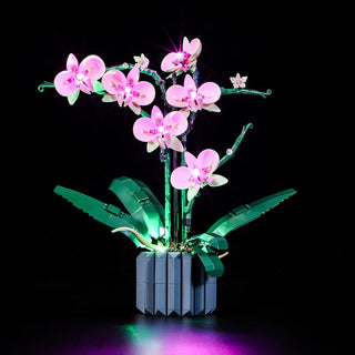 Light Kit For Orchid, 10311 Light up kit Lightailing