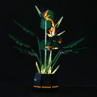 Light Kit For Bird of Paradise, 10289 Light up kit Lightailing