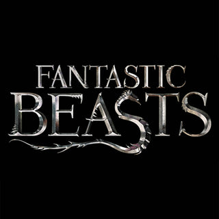 Fantastic Beasts Sets