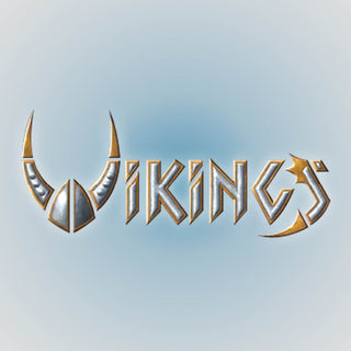 Vikings Minifigures