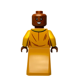 Professor Sinestra, hp310 Minifigure LEGO®
