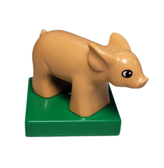 Duplo Piglet on Green Base, 75726c01pb01 Minifigure LEGO®