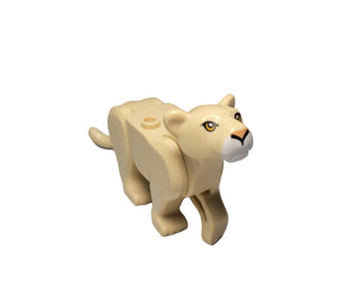 Lioness - bb0787c01pb05