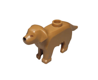 Dog, Closed Left Eye Retriever, 69962pb02