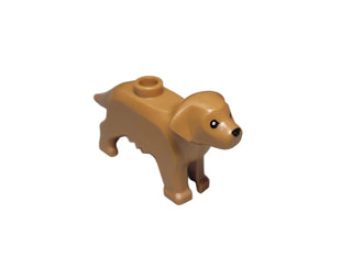 Dog, Closed Left Eye Retriever, 69962pb02
