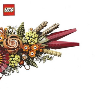 10314-Dried Flower Centrepiece - INSTRUCTIONS ONLY Instructions LEGO® Slightly Used Book 2