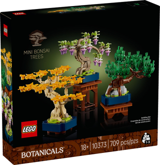 10373 - Min Bonsai Trees - EMPTY BOX ONLY