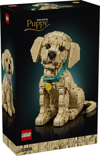 11384 - Golden Retriever Puppy - EMPTY BOX ONLY Empty Box LEGO®