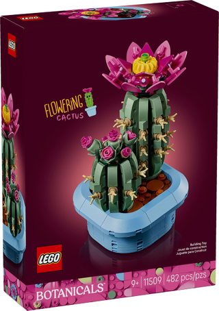 11509 - Flowering Cactus - EMPTY BOX ONLY