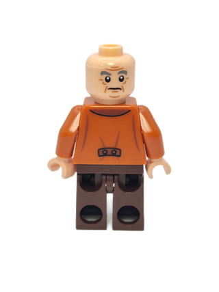 Horace Slughorn - Dark Tan Vest, hp171 Minifigure LEGO®   