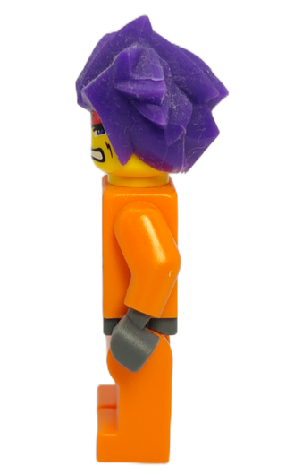 Ryo, exf007 Minifigure LEGO®   