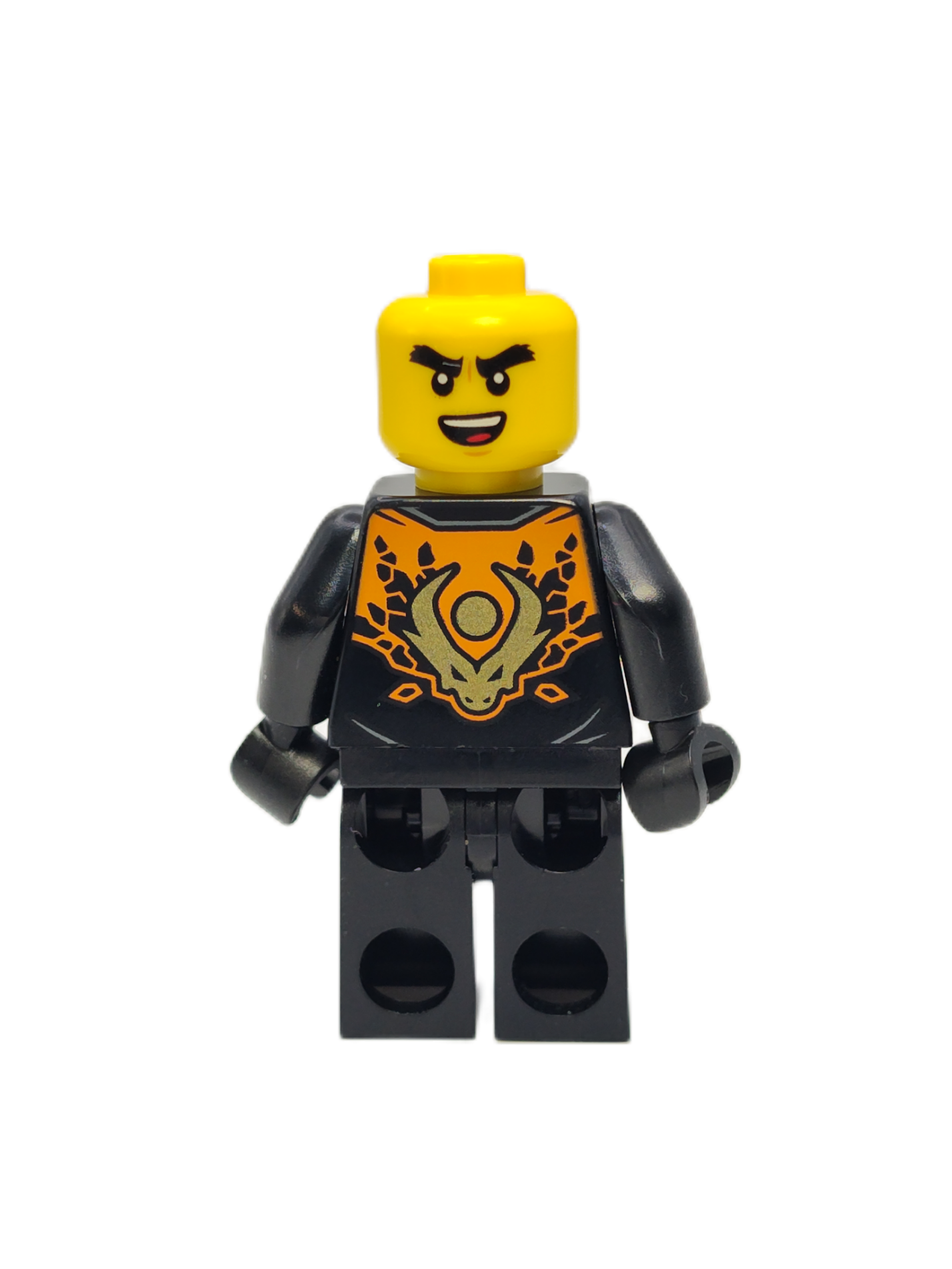 Cole Dragons Rising with Hood, njo0816