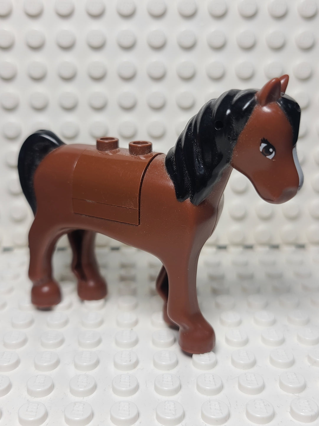 Reddish Brown Horse w/ Black Mane
