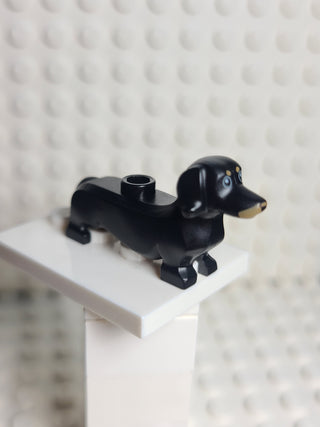 Dachshund Black w/ Tan Markings LEGO® Animals LEGO®   