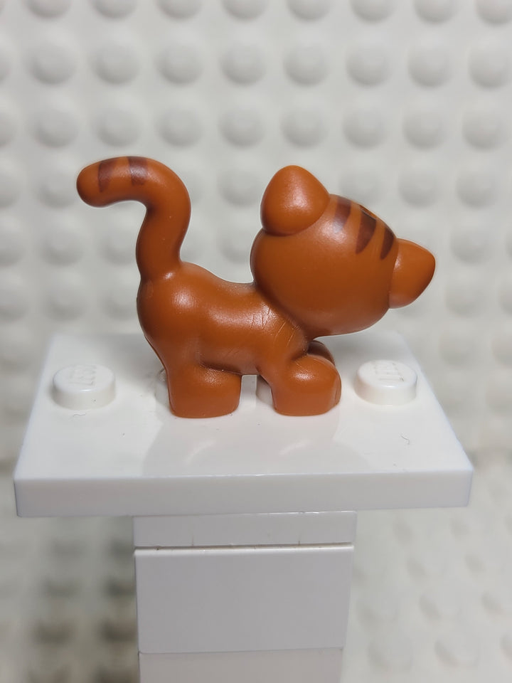 Cat, Dark Orange w/ Reddish Brown Stripes & Tan Muzzle