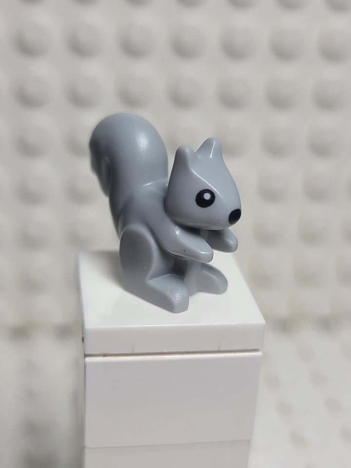 Squirrel Light Bluish Gray, Small