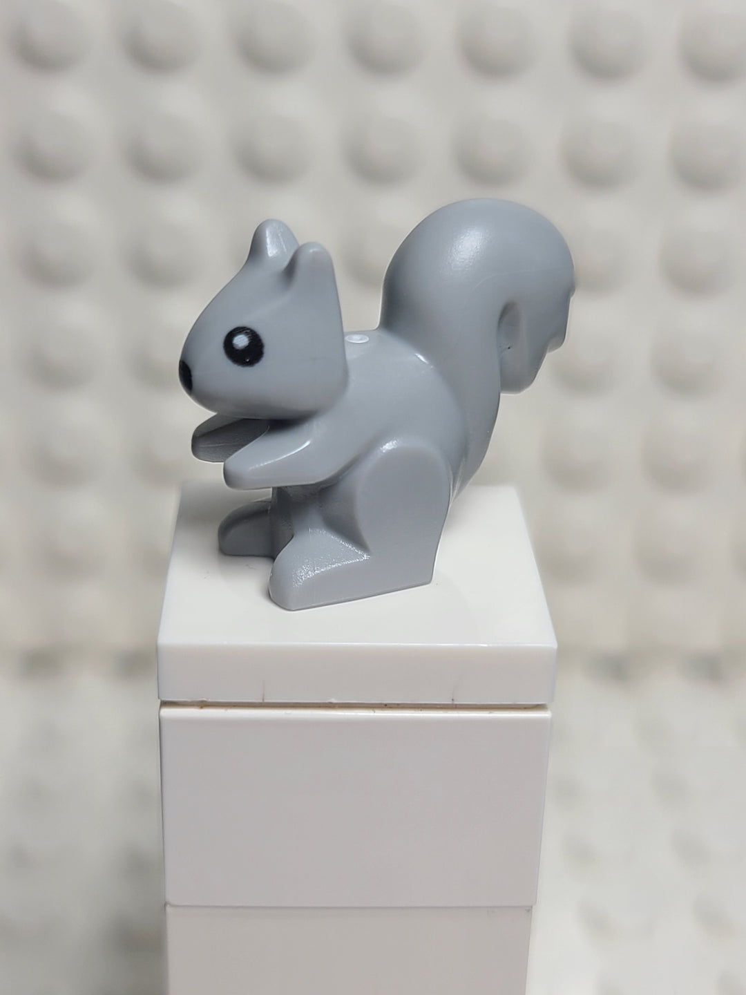 Squirrel Light Bluish Gray, Small