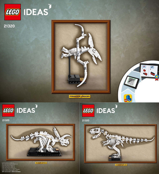 21320-Dinosaur Fossils - INSTRUCTIONS ONLY