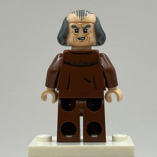 Argus Filch, hp478 Minifigure LEGO®   