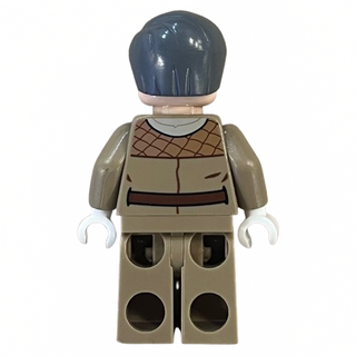 General Rieekan, sw0460 Minifigure LEGO®