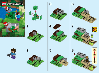 30393-Steve and Creeper Set polybag - INSTRUCTIONS ONLY Instructions LEGO®